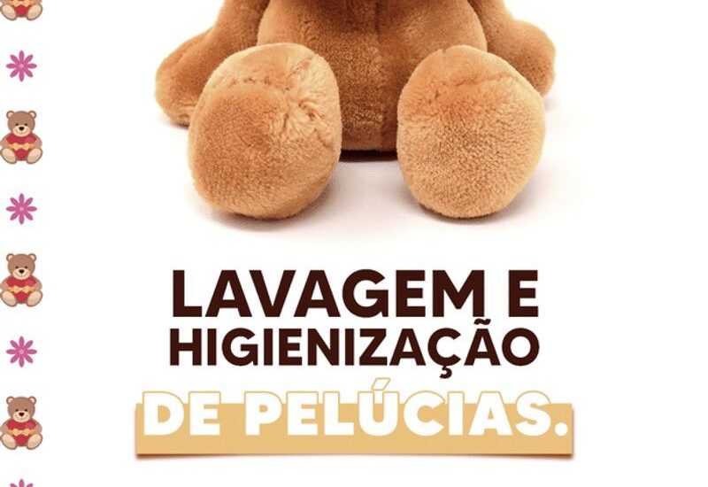 Sua pelúcia lavada e higienizada com todo o cuidado.