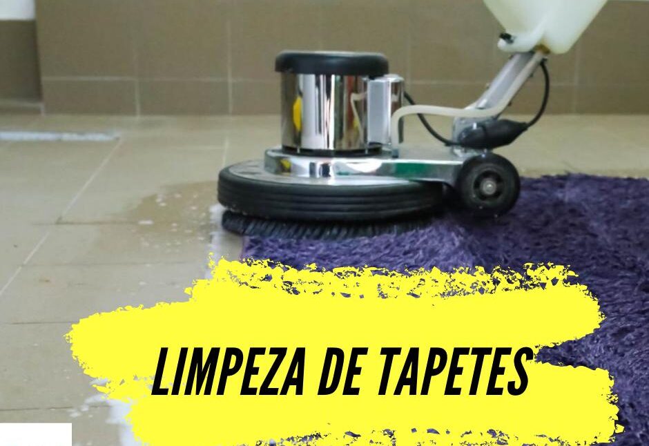 limpeza de tapetes em rio preto1